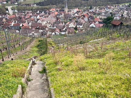 23-03-17 14-15-28 4919